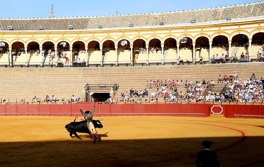 Bullfighting 33 Photograph by Andrew Fare