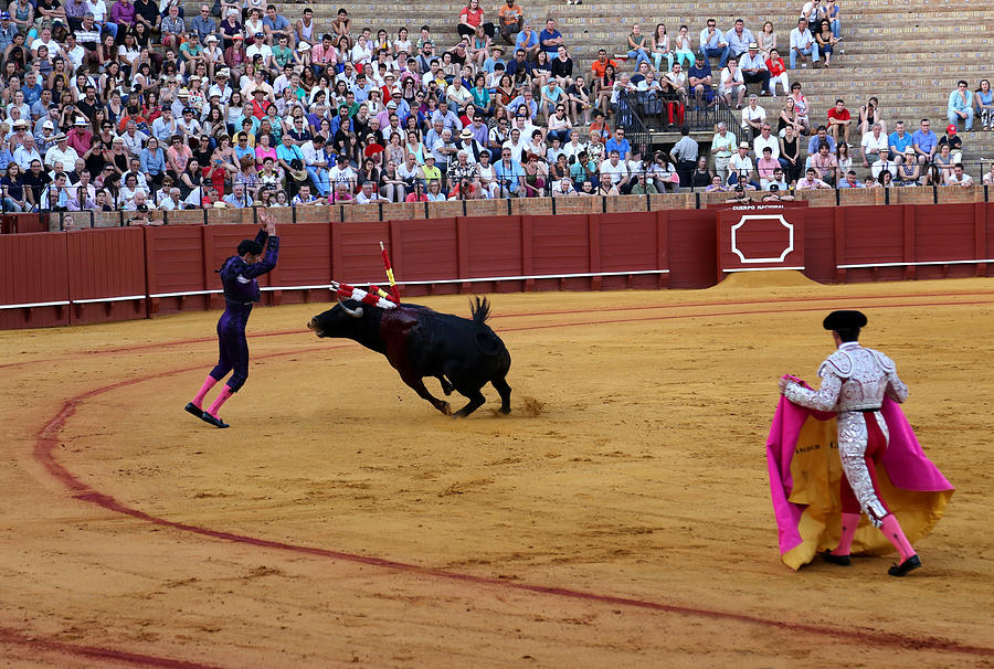 Bullfighting 35 Photograph by Andrew Fare