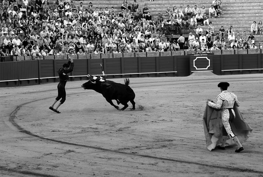 Bullfighting 35b Photograph by Andrew Fare