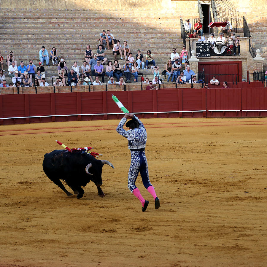 Bullfighting 36 Photograph by Andrew Fare