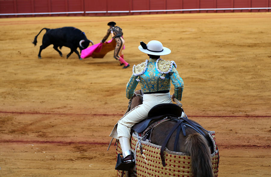 Bullfighting 37 Photograph by Andrew Fare