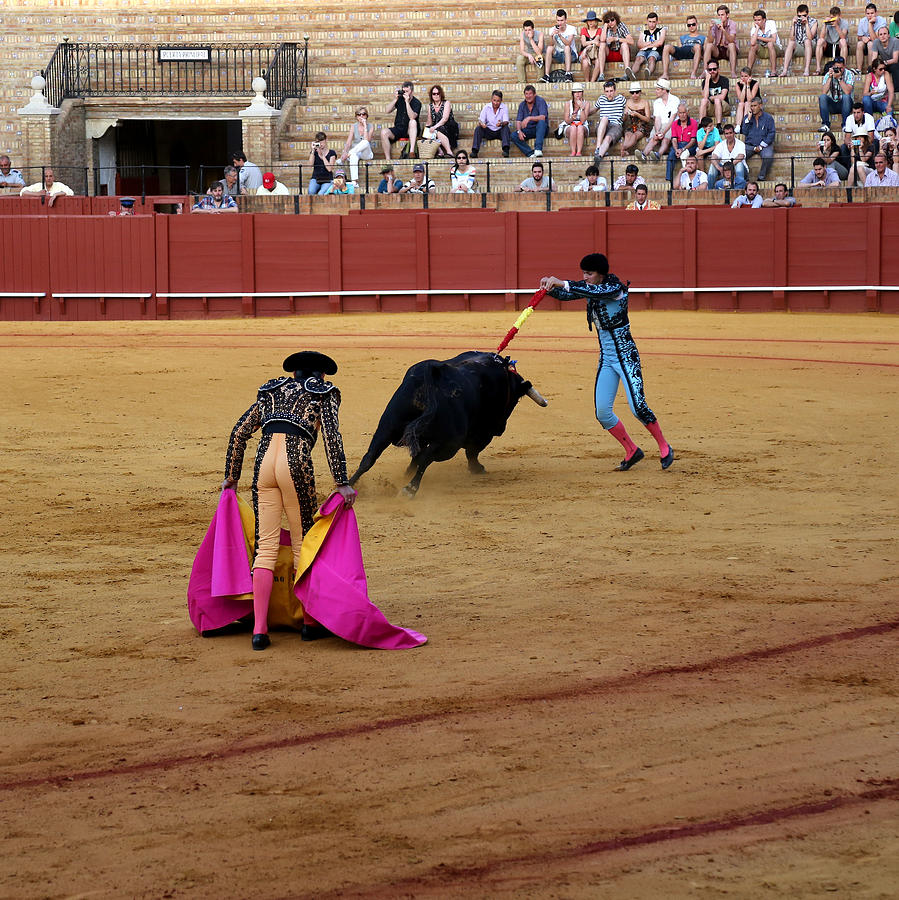 Bullfighting 38 Photograph by Andrew Fare