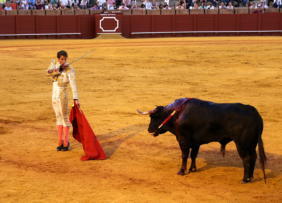 Bullfighting 39 Photograph by Andrew Fare