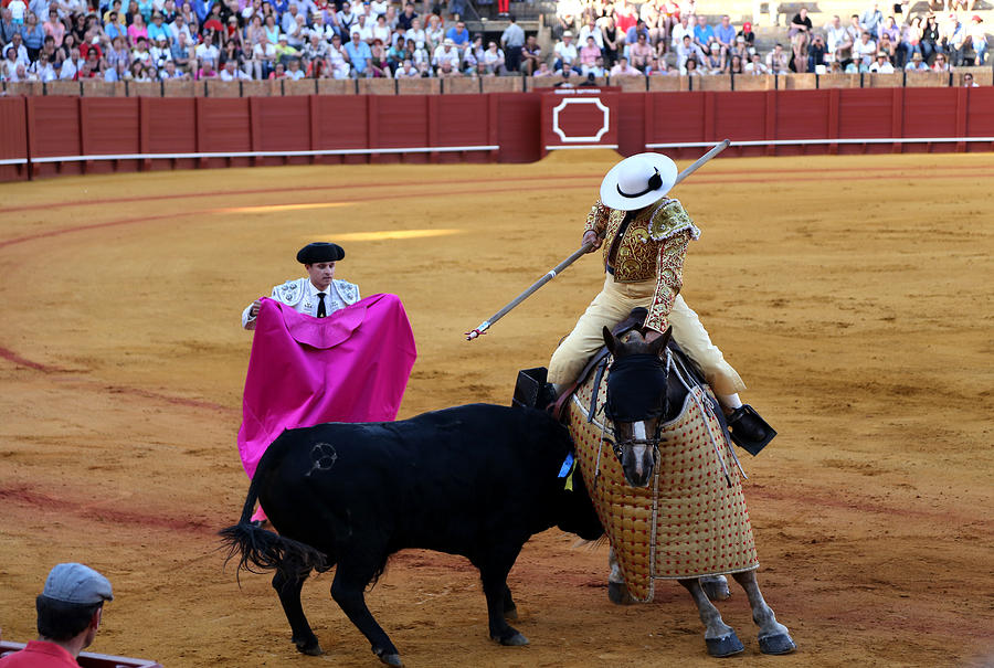 Bullfighting 6 Photograph by Andrew Fare