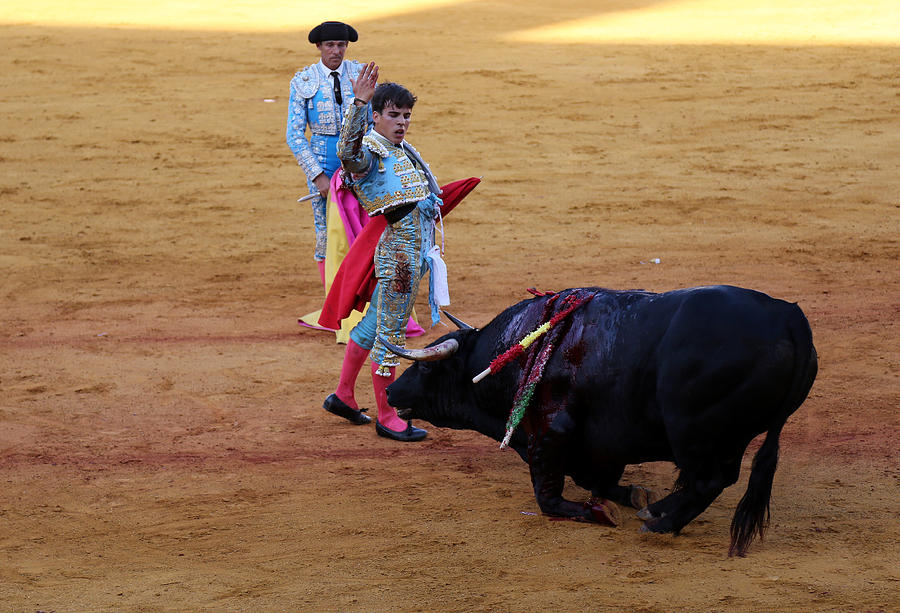 Bullfighting 9 Photograph by Andrew Fare