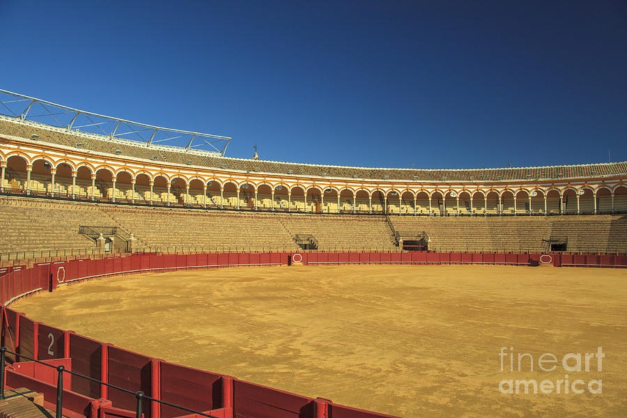 Bullfighting arena Seville Photograph by Patricia Hofmeester