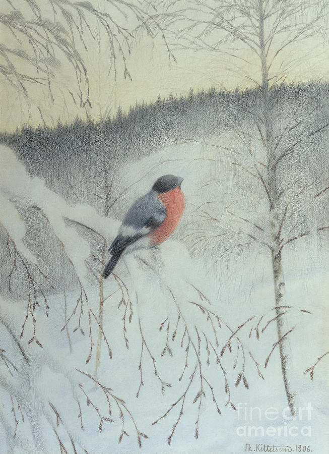 Bullfinch on a frosty twig Mixed Media by O Vaering