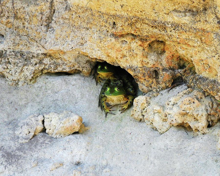 Bullfrog Bunker Photograph by Al Powell Photography USA