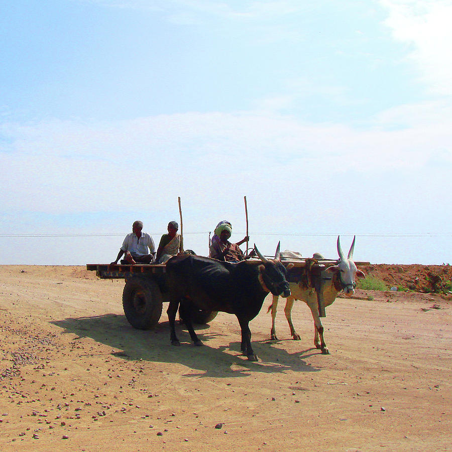 India Photograph - Bullock Cart near Dhone, Andhra Pradesh, India by Iqbal Misentropy