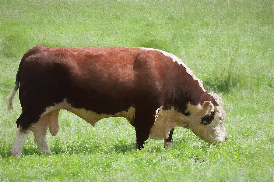 Bullock Painting by William Mace Bullock Painting by William Mace