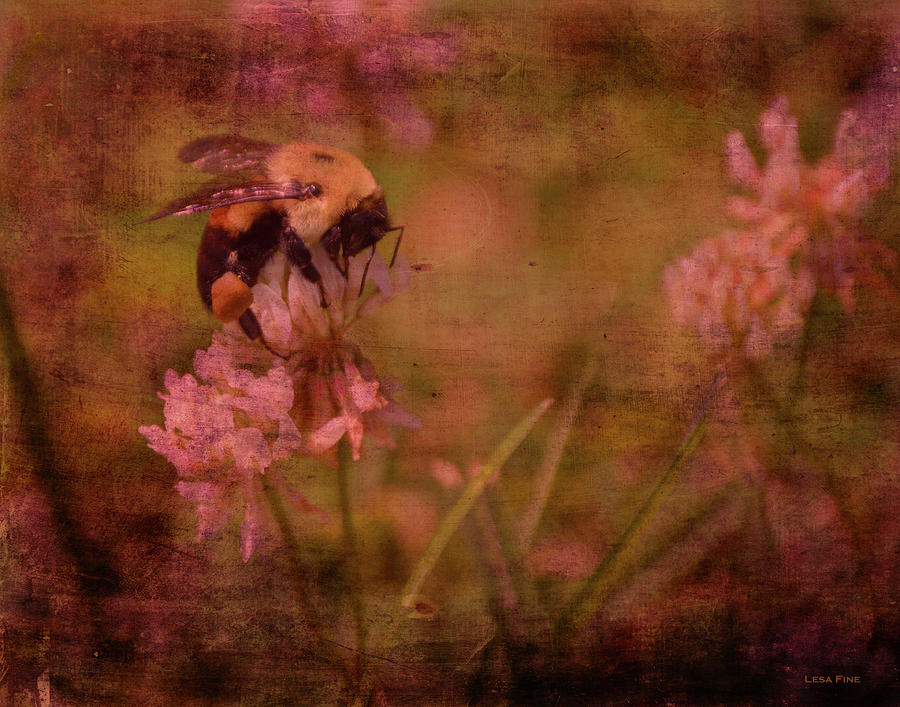 Bumble Bee Serenade Mixed Media by Lesa Fine