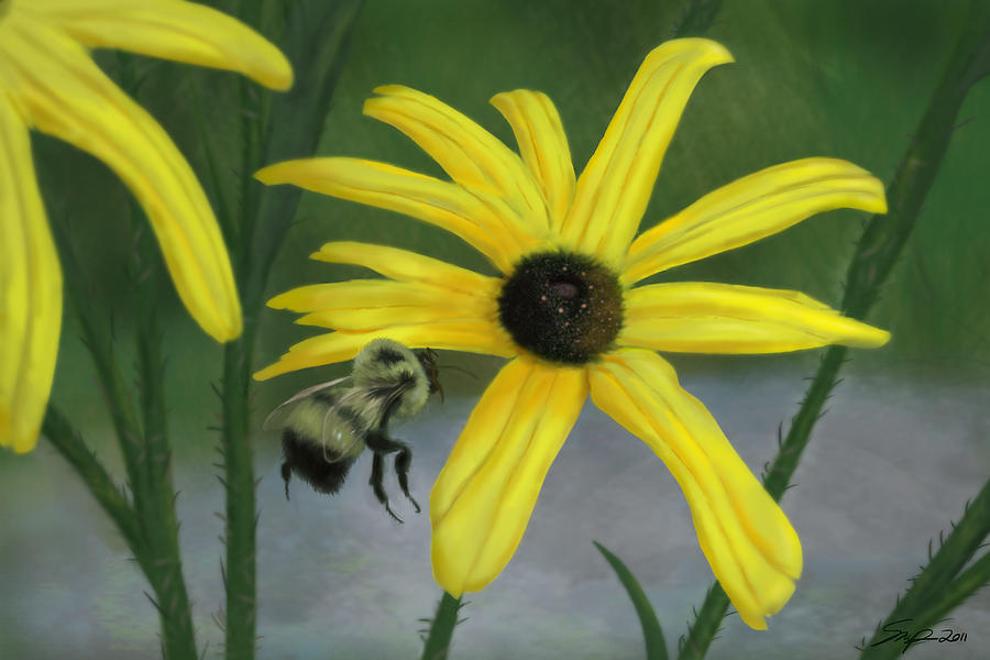 Bumble Bee Painting by Steven Powers SMP