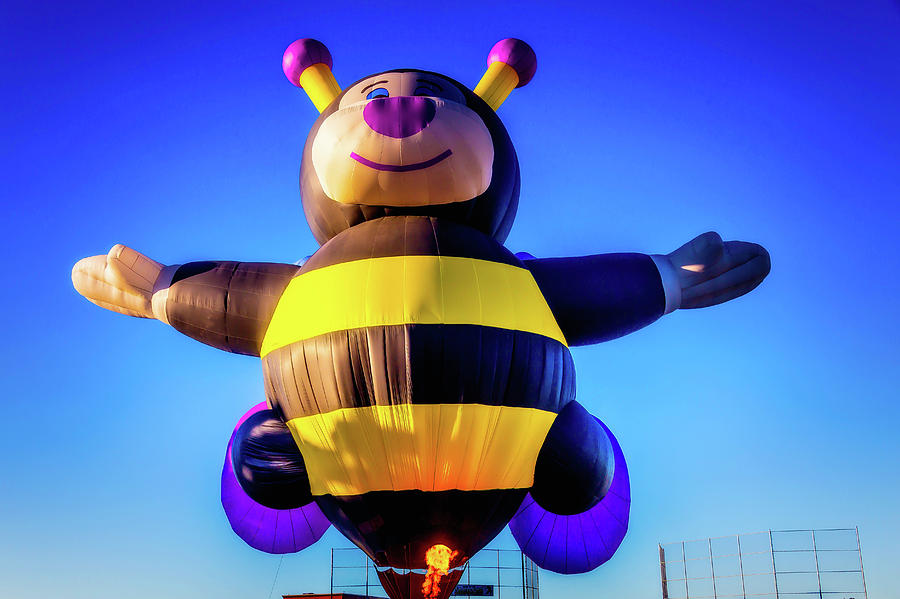 Bumblebee Hot Air Balloon Photograph by Garry Gay
