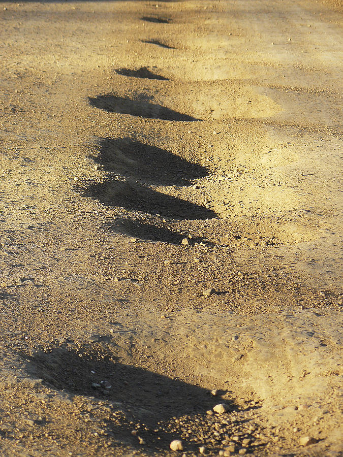 Fun Photograph - Bumps in the Road by David Kehrli Fun Photograph - Bumps in the Road by David Kehrli