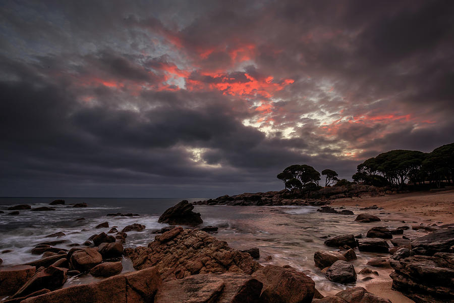 Bunbker Bay Dawn Photograph by Robert Caddy