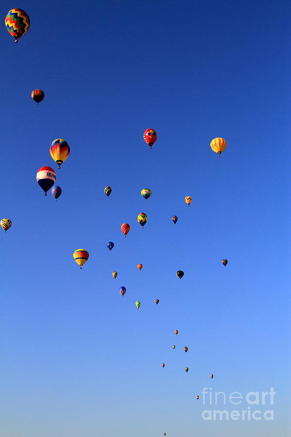 Bunch Of Balloons Photograph by Rick Rauzi