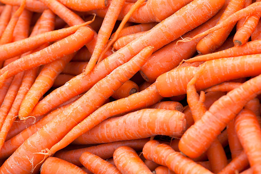 Bunch of Carrots Photograph by Todd Klassy