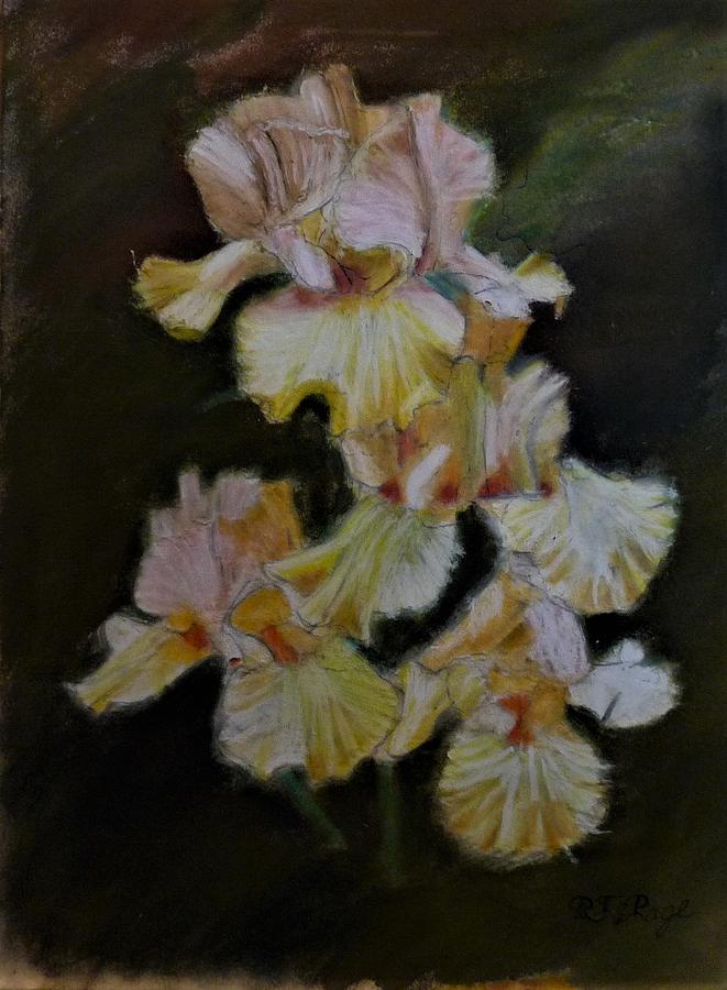 Bunch of Iris Pastel by Richard Le Page