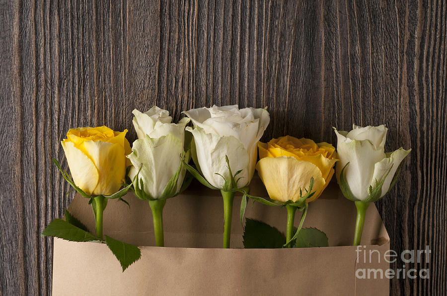 Rose Photograph - Bunch of multicolor rose flowers in paper envelope over wooden b by Margaryta Vakhterova