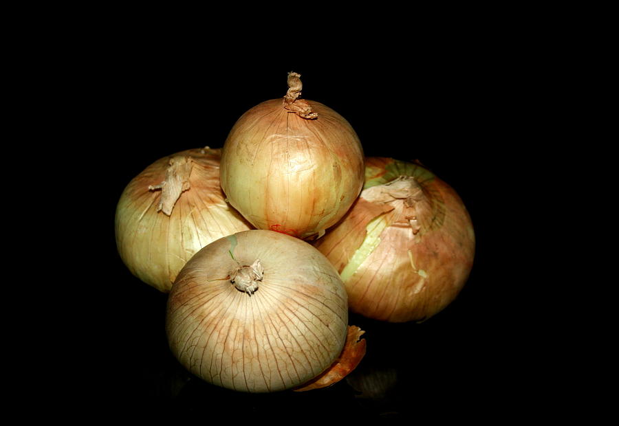 Onion Photograph - Bunch of Onions by Cathy Harper