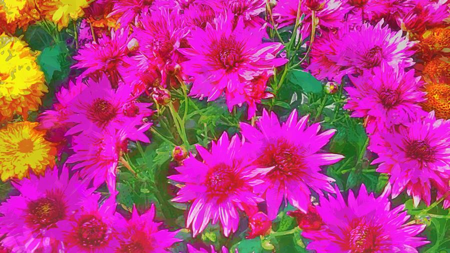 Bunch of pink and yellow flowers Photograph by Ashish Agarwal