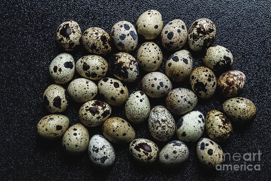 Bunch of raw spotted quail eggs Photograph by Michal Bednarek