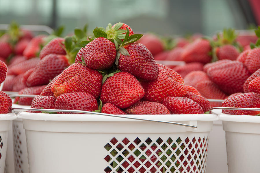 Bunches of Strawberries Photograph by Joye Ardyn Durham