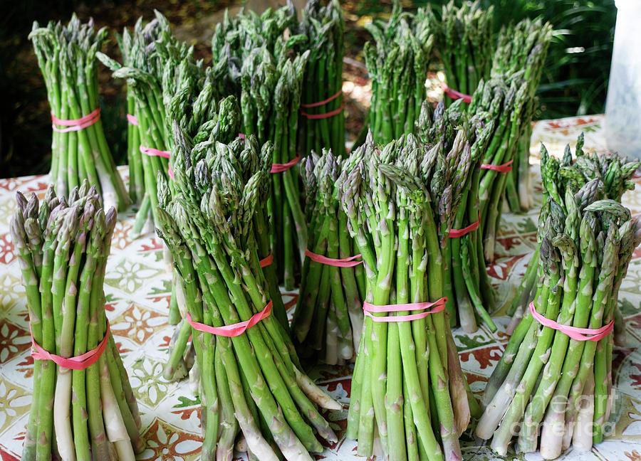 Bundles of asparagus on display at a farmers market Photograph by Louise Heusinkveld