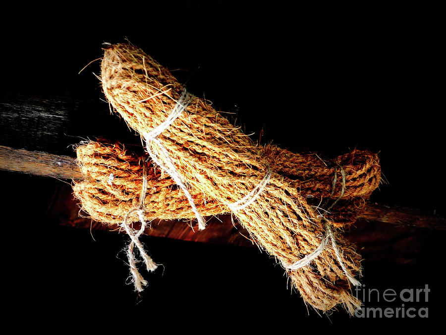 Bundles of Rope Photograph by Lexa Harpell