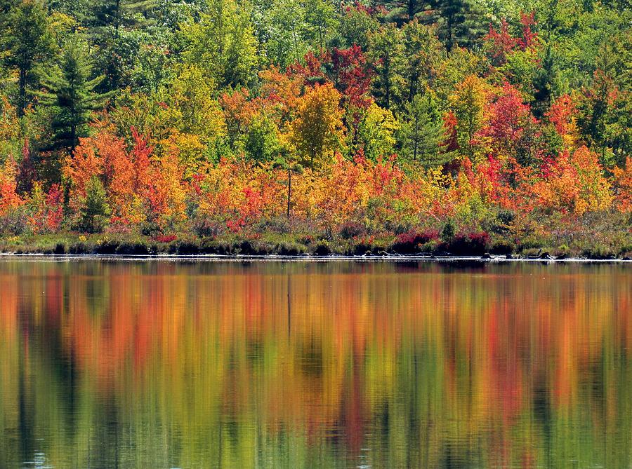 Bunganut Lake Maine Foliage 2016 Photograph by Lynne Miller - Fine Art ...