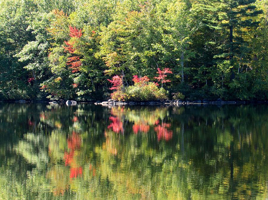 Bunganut Lake Maine Foliage 3 2016 Photograph by Lynne Miller - Fine ...