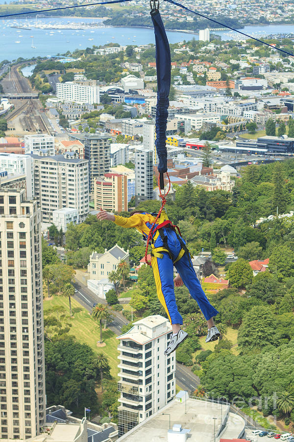 Bungee jumper in Auckland Photograph by Patricia Hofmeester
