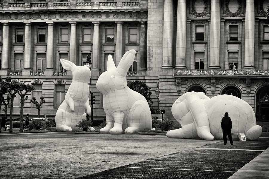 Bunnies #2 Photograph by Jessica Levant