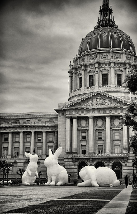 Bunnies #4 Photograph by Jessica Levant