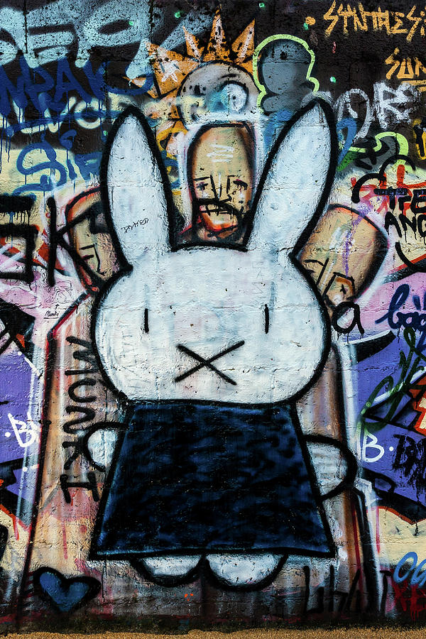 Bunny Graffiti Photograph by Pierre Leclerc Photography