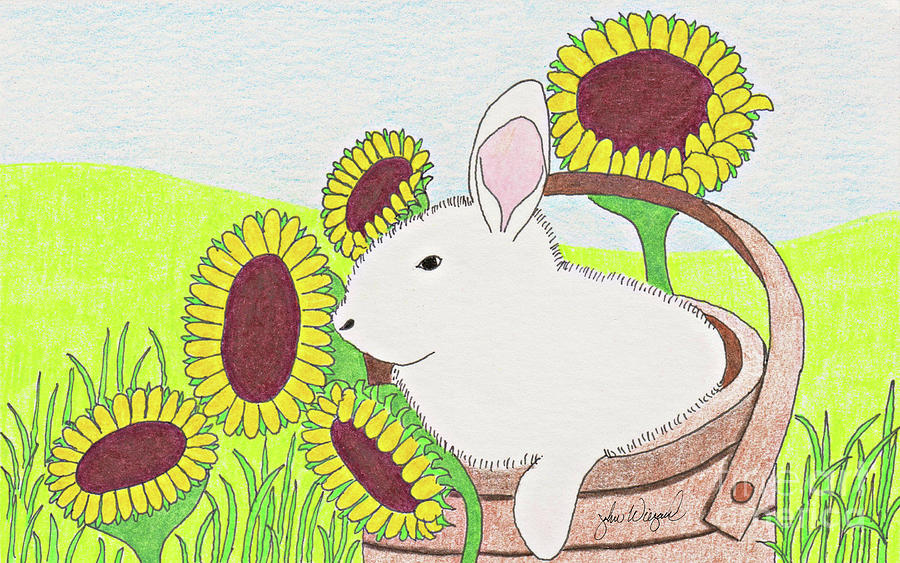 Bunny in a Basket Drawing by John Wiegand