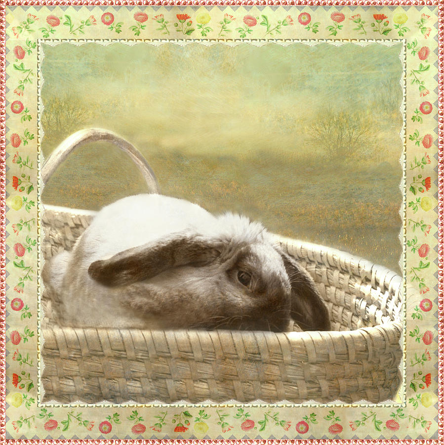 Bunny in Easter Basket Photograph by Adele Aron Greenspun