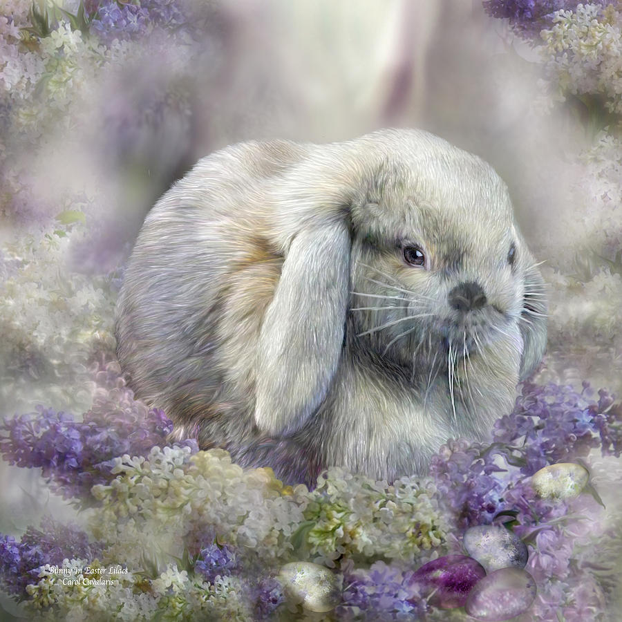 Bunny In Easter Lilacs Mixed Media by Carol Cavalaris