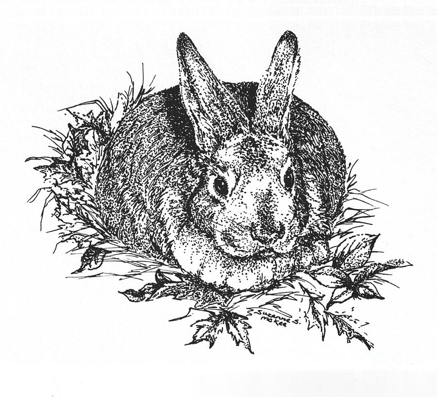 Wildlife Drawing - Bunny in the Leaves by Suzanne McKee