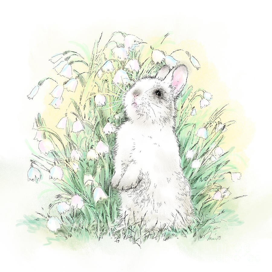 Bunny Drawing - Bunny in White by Laurie Musser Bunny Drawing - Bunny in White by Laurie Musser