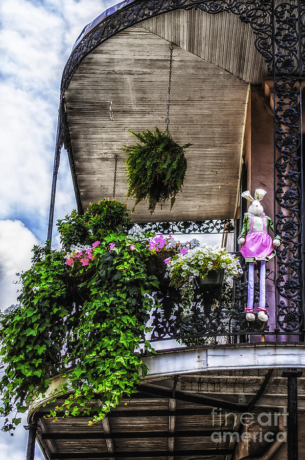 Bunny On The Balcony Photograph by Frances Ann Hattier