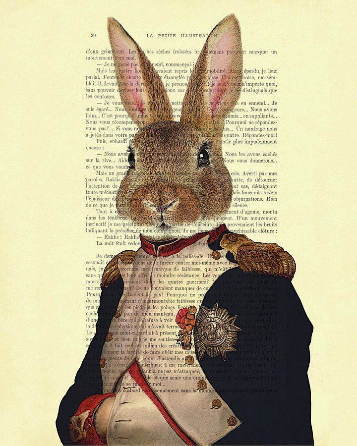 Bunny portrait illustration Digital Art by Madame Memento