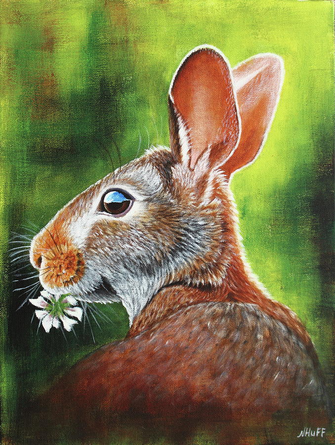 Rabbit Painting - Bunny Rabbit by Natalia Huff