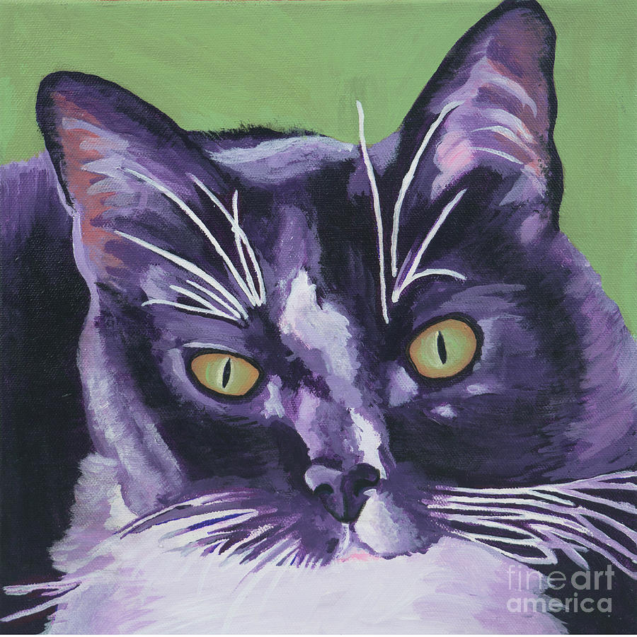 Tuxedo Black and White Cat Painting by Robyn Saunders