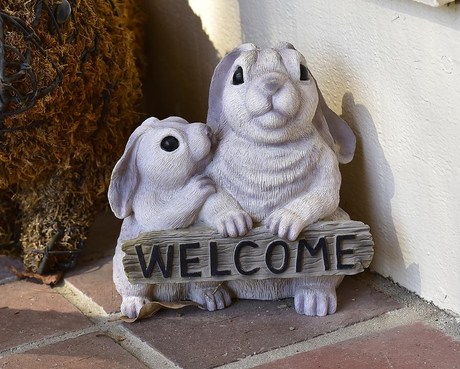 Bunny Welcome Photograph by Linda Brody