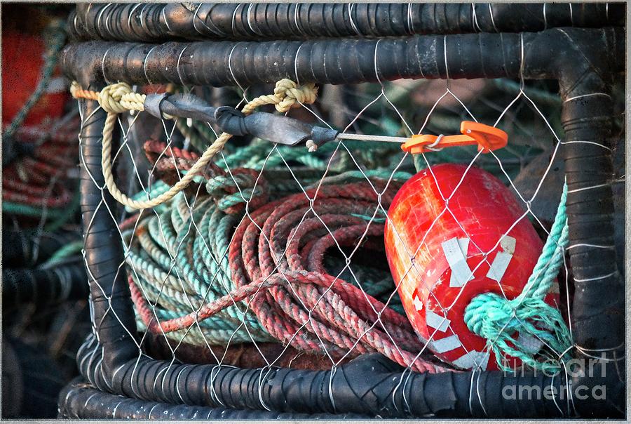 Buoy and Ropes Photograph by Teresa Wilson