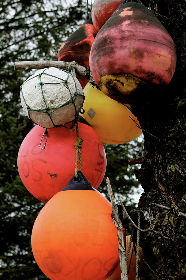 Buoy Decorated Tree by Brandy Little Buoy Decorated Tree by Brandy Little