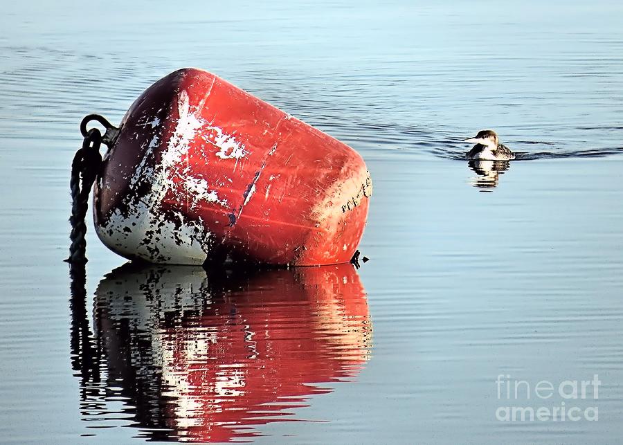 Buoy Reflections Photograph by Janice Drew
