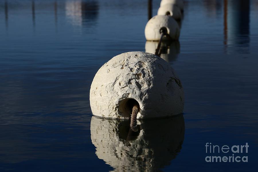 Buoy Photograph - Buoy Upfront by Stephen Mitchell Buoy Photograph - Buoy Upfront by Stephen Mitchell