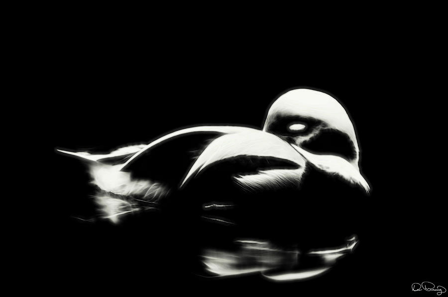 Duck Photograph - Buoyant Soporous by Dee Browning